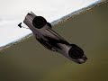 Flyday  (578mph) ?