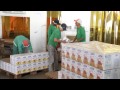 VÍDEO: Agência Minas exibe série de reportagens sobre o maior projeto de irrigação da América Latina