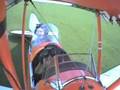 plane hits cow (with slow motion)