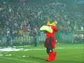 Od Szczecina do Opola... cz.I Od Szczecina do Opola... cz.I
