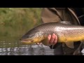 The Source - Iceland : Fly Fishing DVD Teaser 1