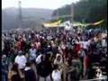 Groovox - Pro Agressive (Promotional Video)