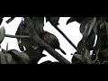 Casio EX F1: prova slow motion a 600 fps