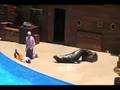 Clyde and Seamore show at Sea World Part 4