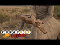 JACOB RAAGAARD - JOSHUA TREE - WEISSENBORN INSTRUM ..
