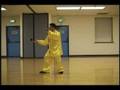 MUST SEE!!! CHEN STYLE TAICHI (PAO-CUI) WANG LIJUN 王力军
