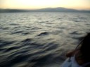 Stratos,Chara,Apollon,Eleni, Michaella kalokairi 2008 Mitilini, Lesvos