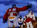 Transformers - A swallow carrying a coconut