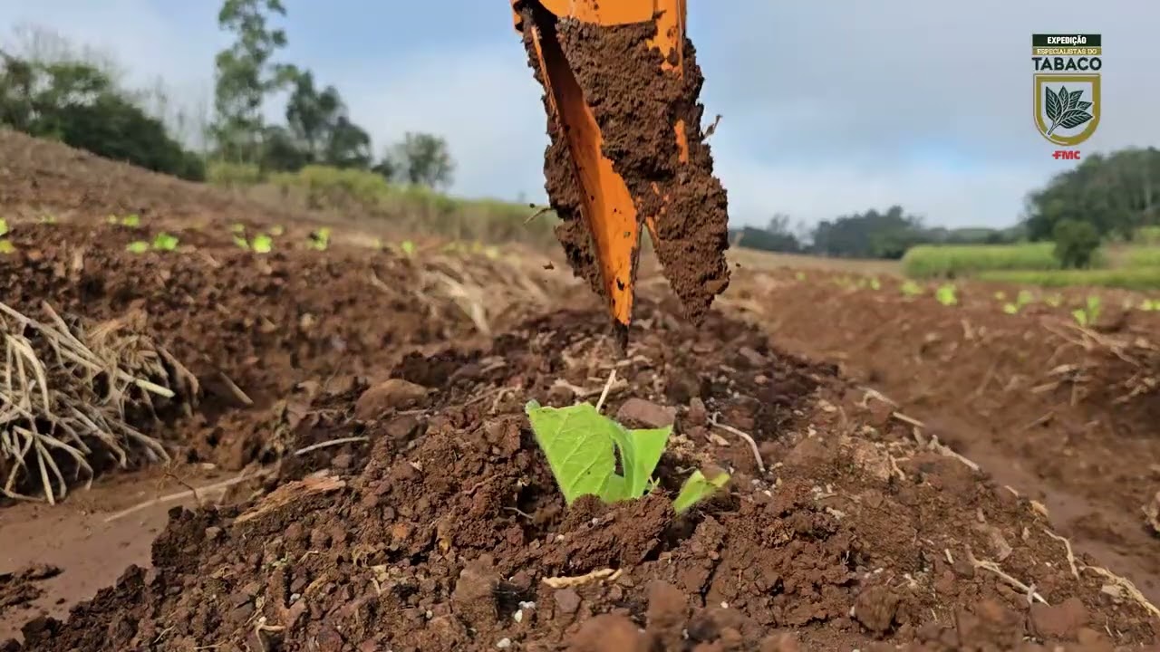 Expedição Especialistas do Tabaco - EP 2 Cledio da Silva