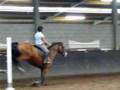 cours ardenelle