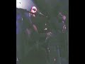 Avalanch - Cambaral (Accoustic)