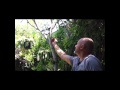 Artworx Gallery - Tim Cotterill Presents English Robin