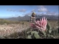 2012 Absa Cape Epic: Stage 6 Highlights