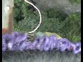 Salto Bungee Stanley