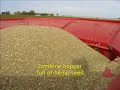 Manitoba Harvest Hemp Foods & Oils - Harvest Video