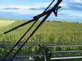 Manitoba Harvest Hemp Foods & Oils - Harvest Video