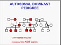 Medical School Pathology, Chapter 5b