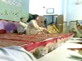 Wiladat-e-Imam Hassan(a.s) IRC