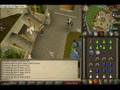 Fast Melee Xp - Dharoks At Ape Atoll