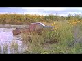 Pond