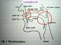 Alveolar Trill (Rolling R) tutorial in Cantonese (to be English subtitled soon)