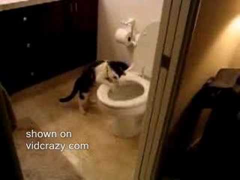 Image de prévisualisation YouTube