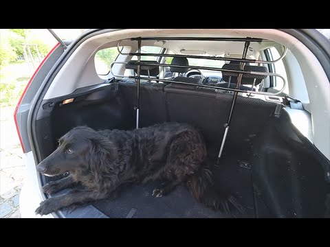 Hundegitter für Auto