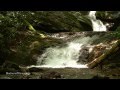 RELAXING HD NATURE 1 (MOUNTAIN STREAM)