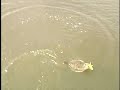 Fishing for flounder with racecar driver Kirby Cladwell Fishing for flounder with racecar driver Kirby Cladwell