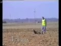 amica_tracking.wmv
