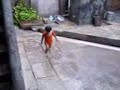 Vashistha Rain (2)