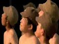 KEBAN KEBAN KEBAN KEBAN KEBAN KEBAN
