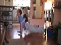 Push ups, L-sit and pistols with 15kg love