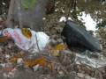 videos de Crab Alley.wmv