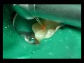 Sealing grooves