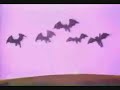 The Rite of Spring: YouTube Poop Edition (Part 2) The Rite of Spring: YouTube Poop Edition (Part 2)