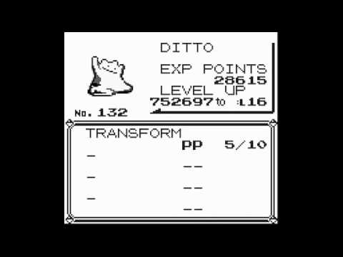 ditto