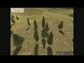 Rome Total War Online Battle 1699: Macedon vs Parthia 2