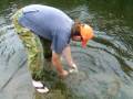FISHING AT GRESFORD