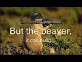 We are the beaver We are the beaver