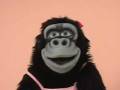 Puppet Abuse - Steve Petruzzella - Axtell Video Contest