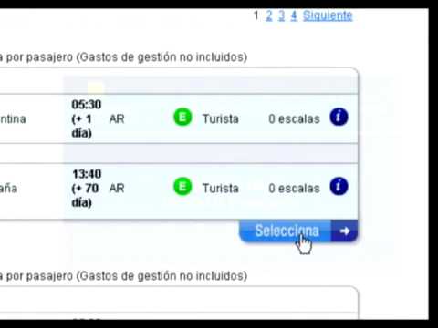 Curso Internacional de Adiestramiento Canino Profesional