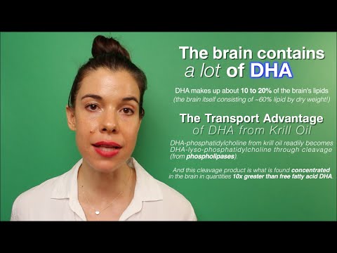 Krill Oil’s Brain-DHA Advantage