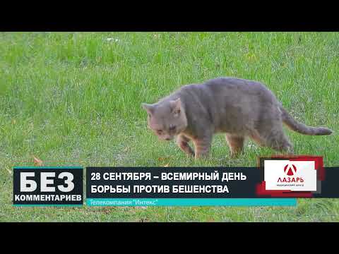 Без комментариев. 28.09.23.