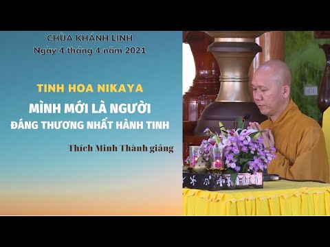 Tinh Hoa NIKAYA – Mình Mới Là Người Đáng Thương Nhất Hành Tinh