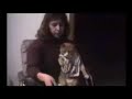 Lustige Katzen