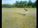 Kitelandboarding at Hiltown Part2