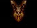 RORSCHACH (an animated Rorschach test)