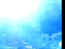 Paco Osuna @ Alfatori, Sto Dgo RD #11