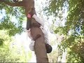 Man Climbing Tree